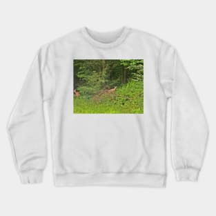 Poised Crewneck Sweatshirt